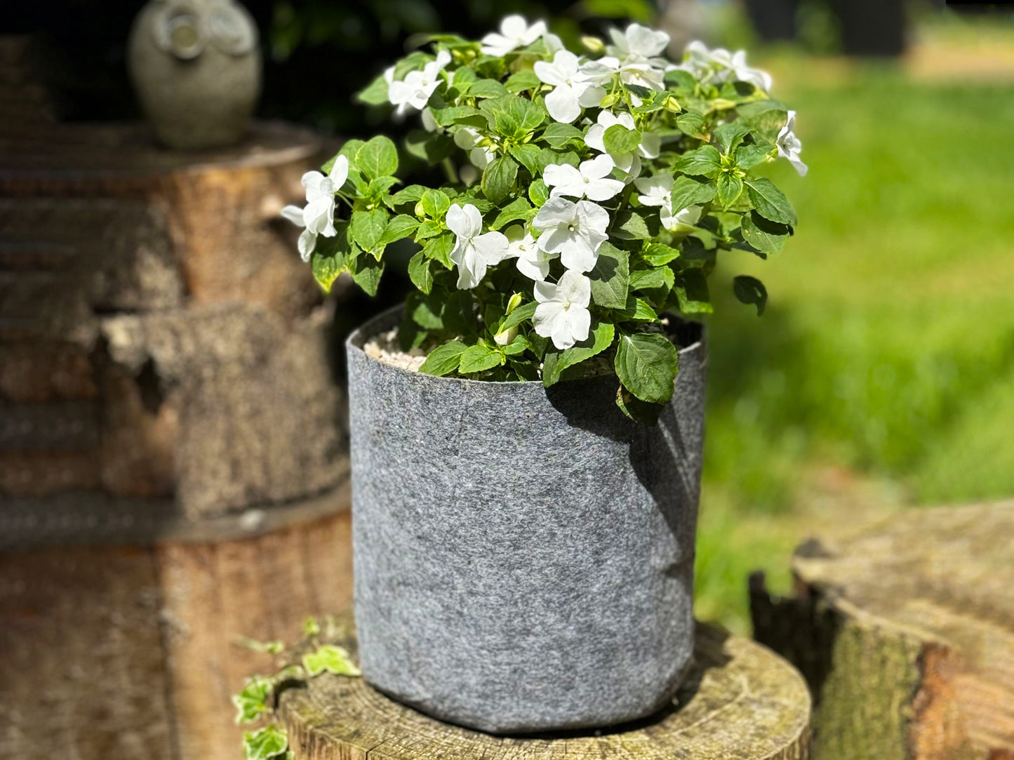 Fabric Plant Growing Bags
