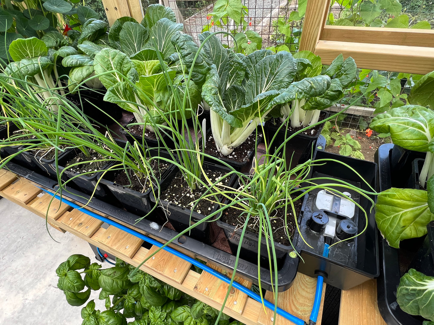 AutoPot easy2Propagate Basic Kit