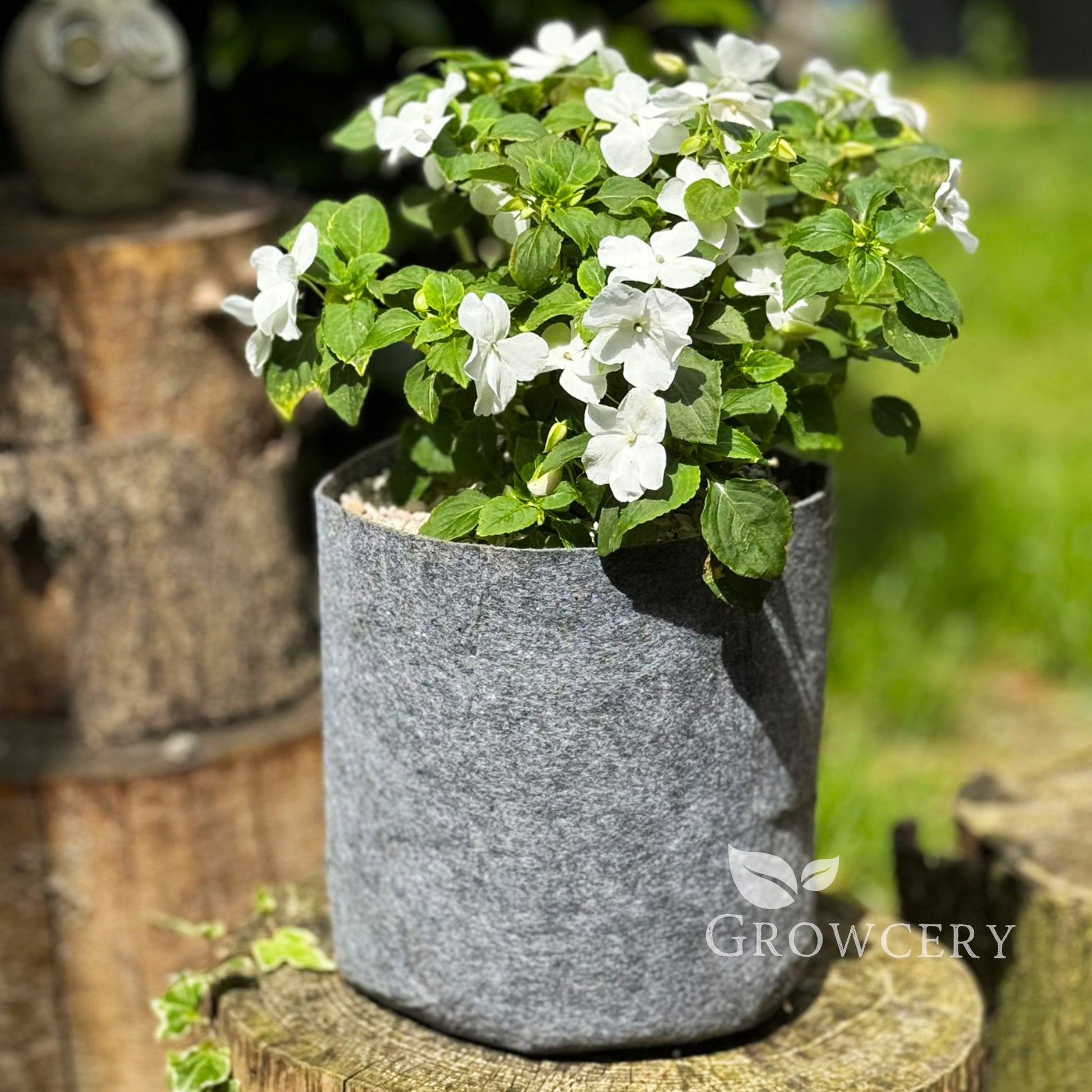 Growcery 8L Fabric Grow Bag – Handless Design for Flowers, Shown on Tree Stump in Natural Garden Setting