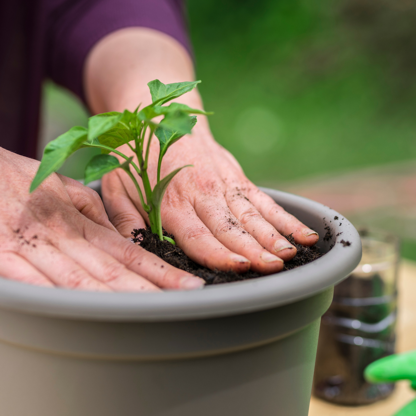 Leca Horticultural Grit, Clay Pebbles, Fine Grade 2-4mm