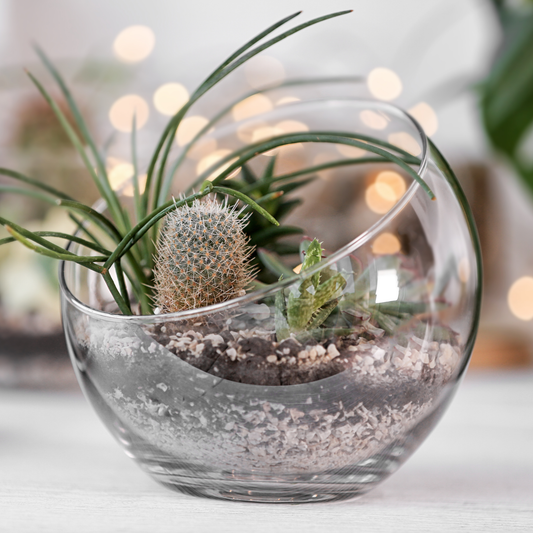 Leca Horticultural Grit, Clay Pebbles, Fine Grade 2-4mm