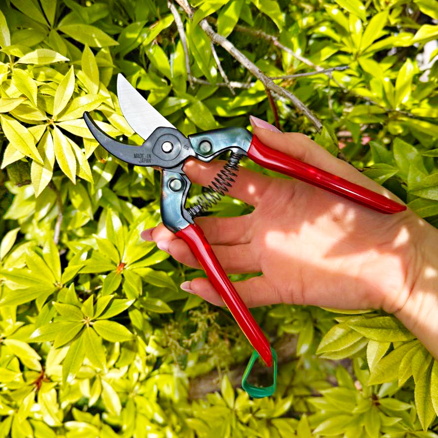 Close-up of CHIKAMASA PST-8 SK-5 steel blades and central pivot spring mechanism