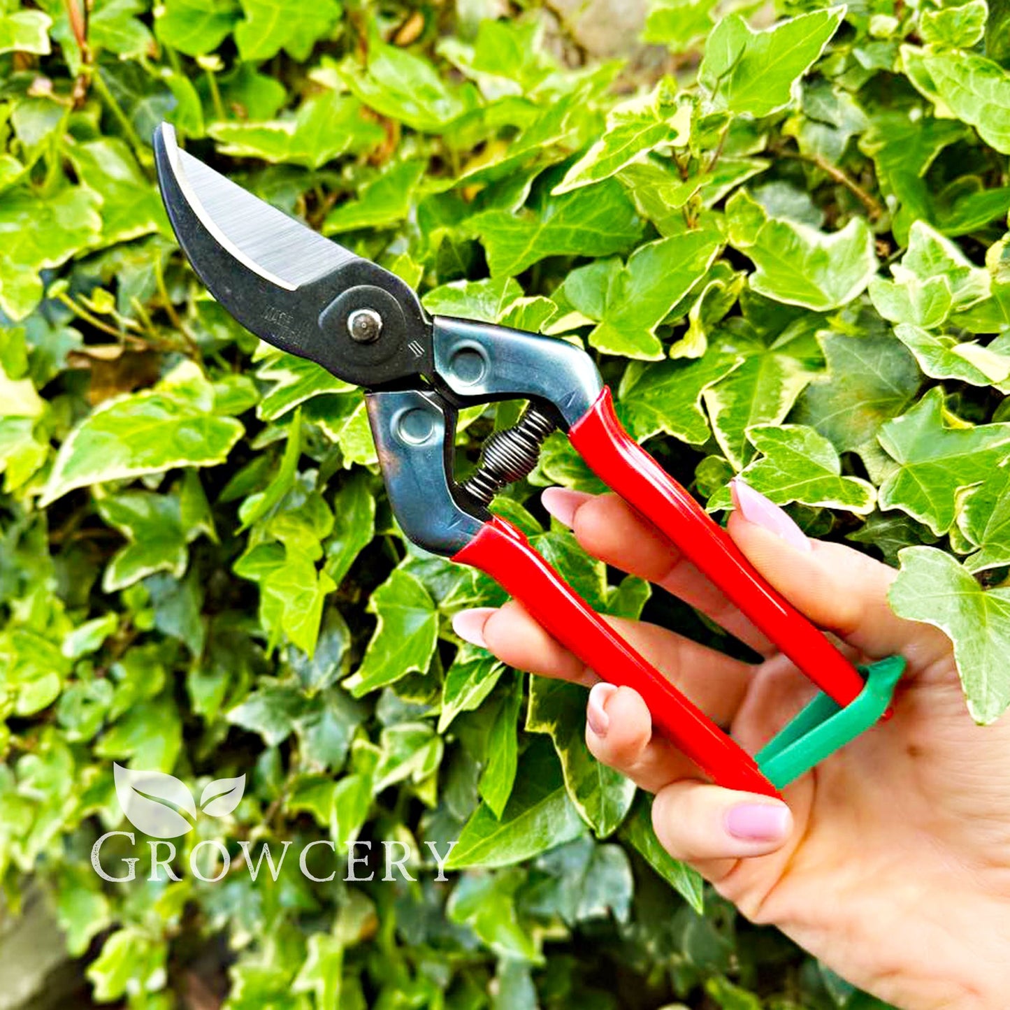 CHIKAMASA PST-8 pruning shears resting against lush ivy backdrop