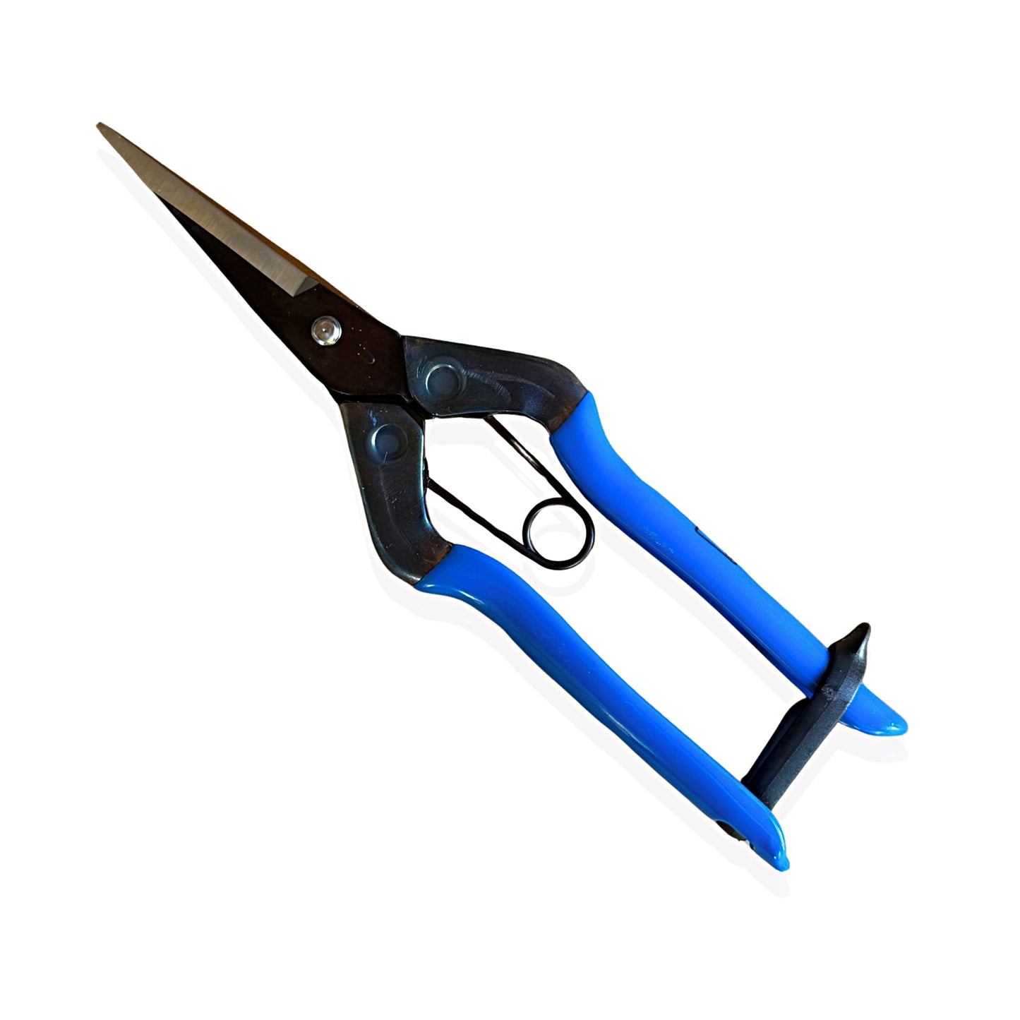 Chikamasa T-552 7″ carbon steel trimming scissors with ergonomic blue handles — front view