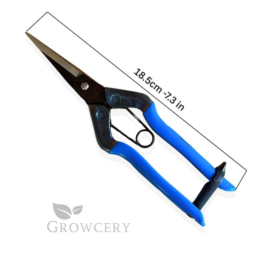 Close-up of Chikamasa T-552 carbon steel blade tip, 18.5 cm (7.3″) cutting length measurement