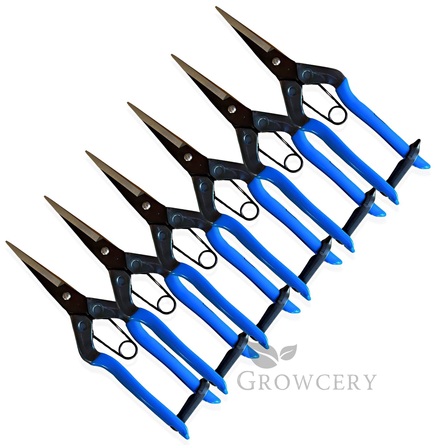 Six-pack of Chikamasa T-552 garden pruning scissors, ideal for professional gardeners