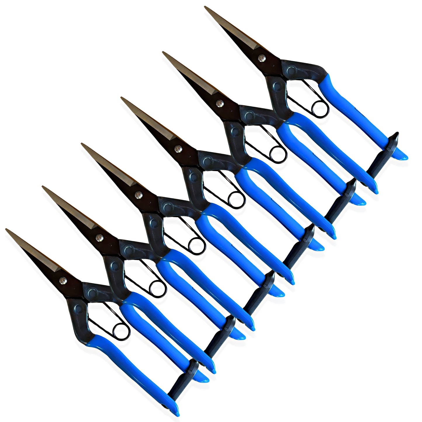 Six-pack of Chikamasa T-552 garden pruning scissors, ideal for professional gardeners