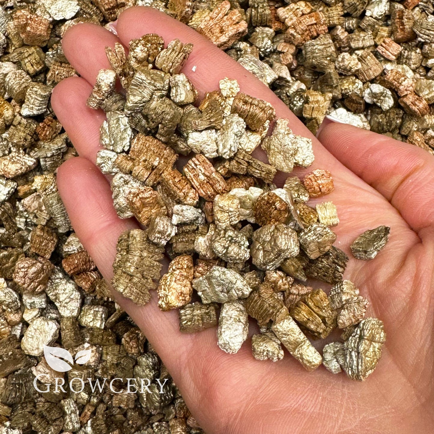 Hand holding coarse vermiculite used as a potting medium and plant compost additive