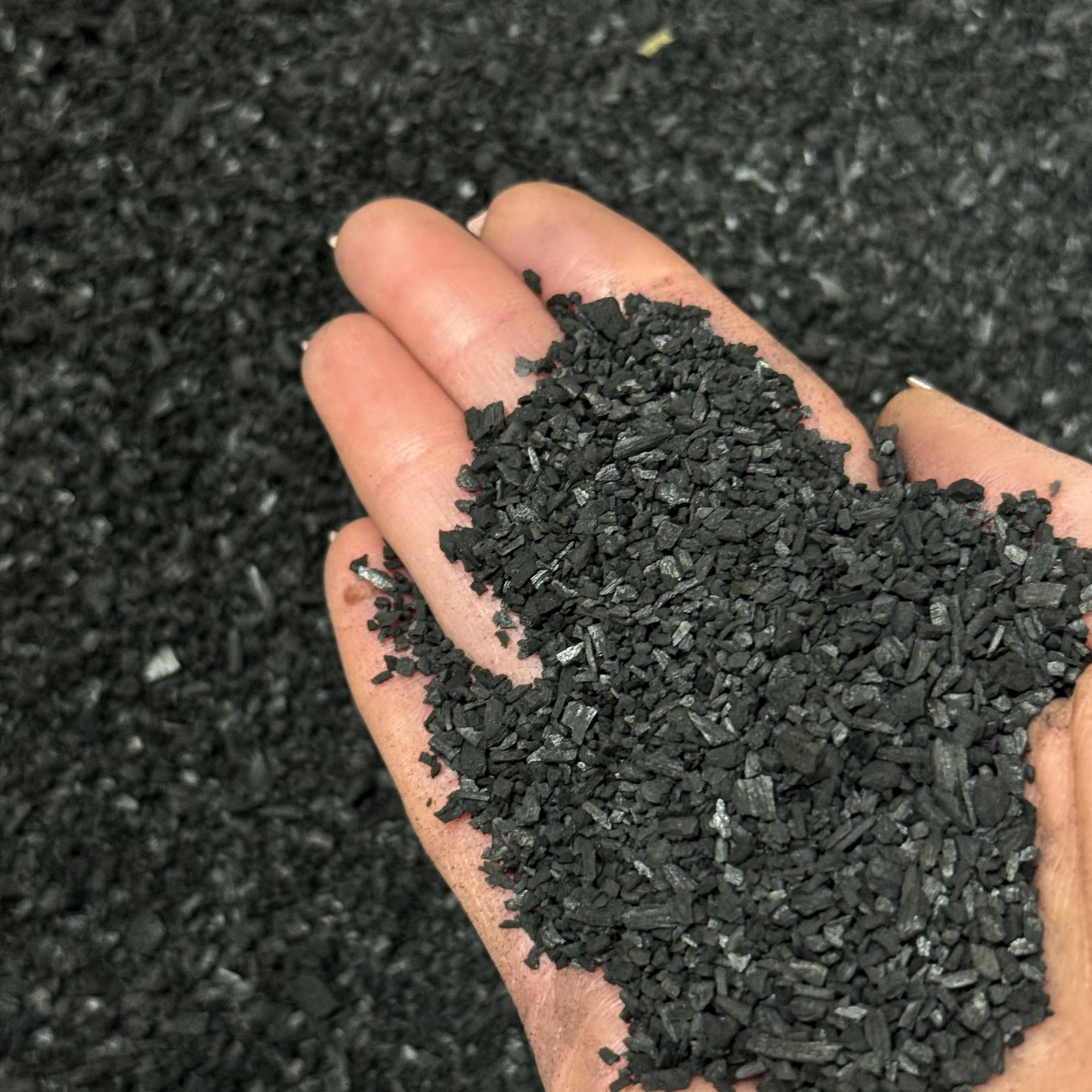 Close-up of a gardener’s hand holding Growcery Activated Biochar, a porous black soil enhancer for improved fertility and water retention.