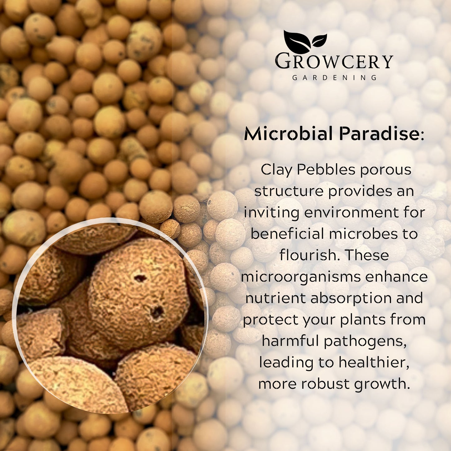 Growcery Clay Pebbles label explaining how their porous structure supports beneficial microbes for plant health.
