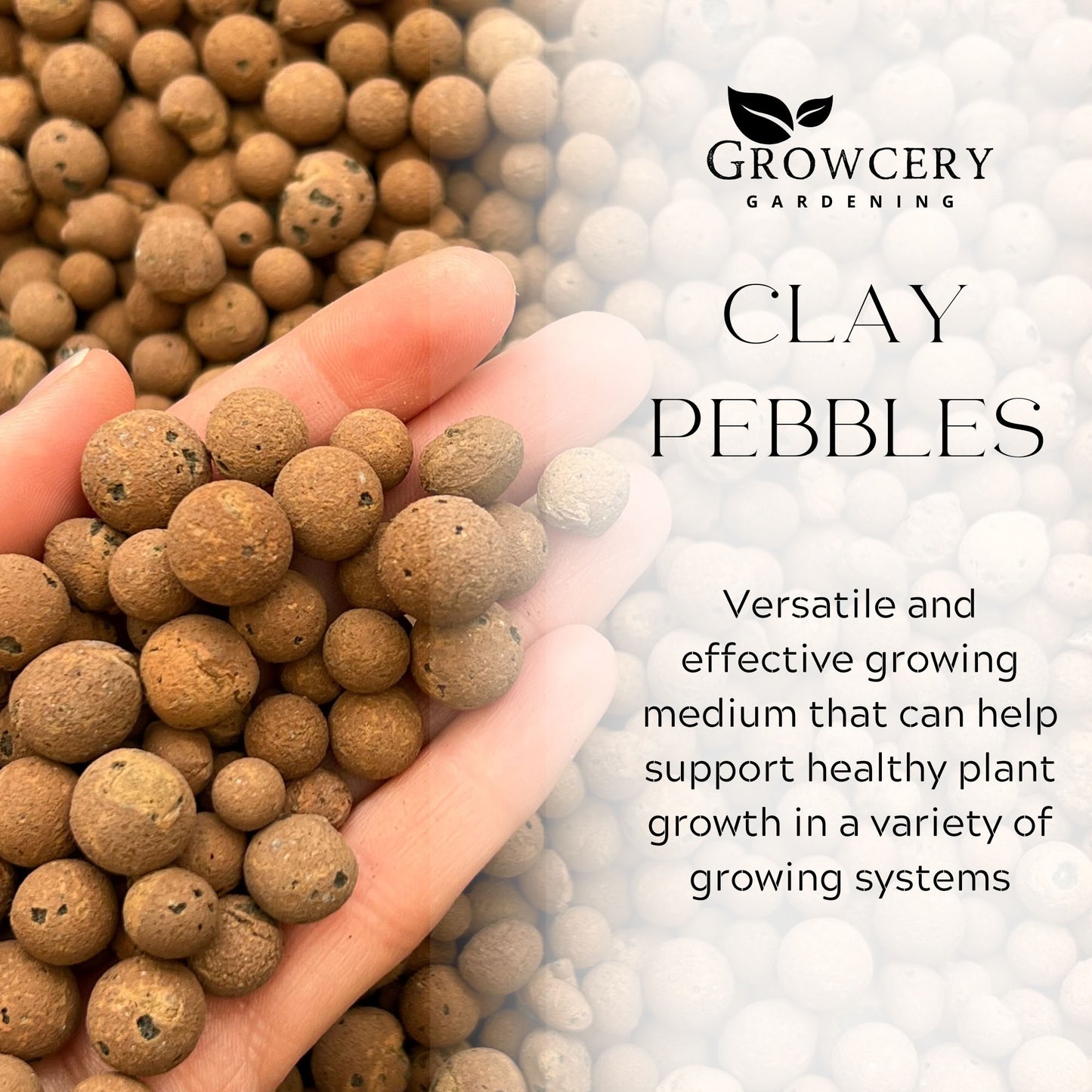 Growcery Clay Pebbles in use as a versatile medium for hydroponics, terrariums, and healthy root growth.