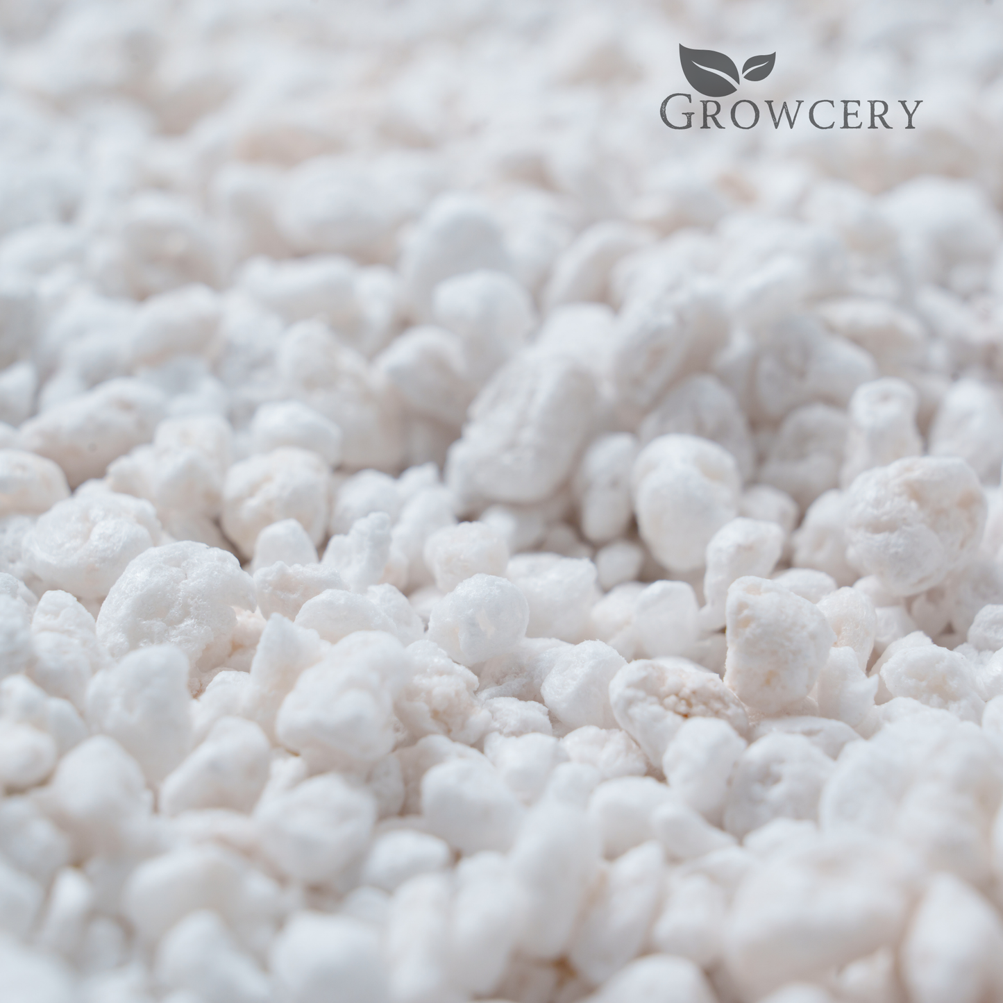 Close-up macro view of Growcery perlite’s porous 2–5 mm texture