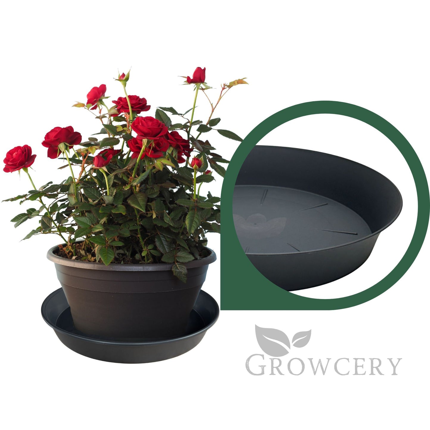 Studio close-up of single heavy-duty black round plant saucer