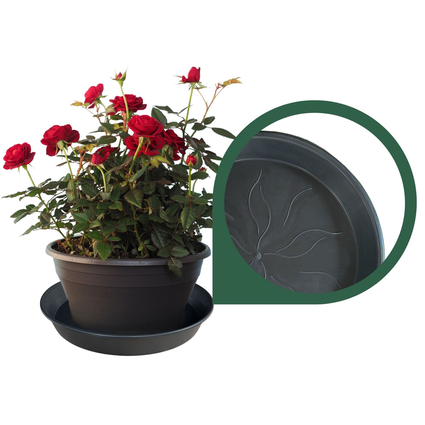 Studio close-up of single heavy-duty black round plant saucer