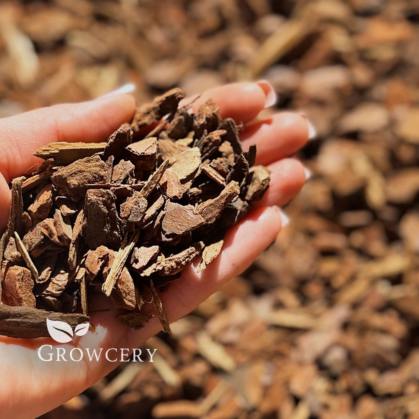 Hand holding premium orchid bark, ideal for orchid care, garden bark, or bark mulch use.