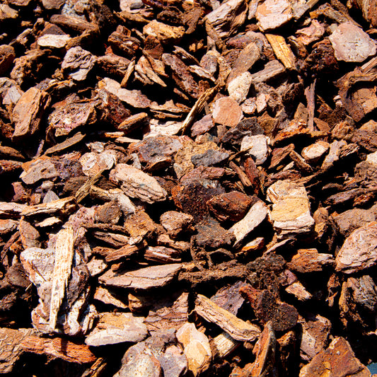 Top view of loose orchid bark mulch, perfect for repotting orchids, garden bark applications, and plant drainage.