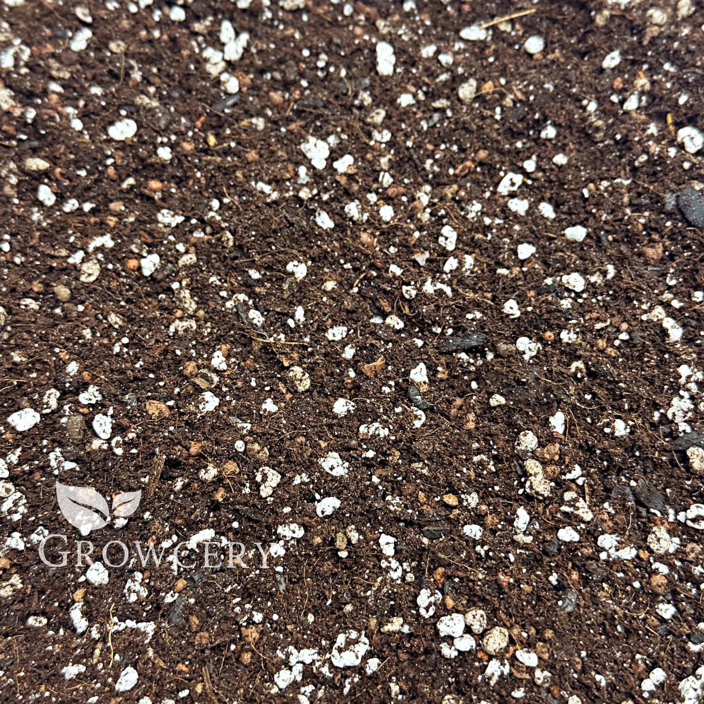 Close-up of nutrient-rich orchid potting mix with added perlite for optimal aeration and drainage.
