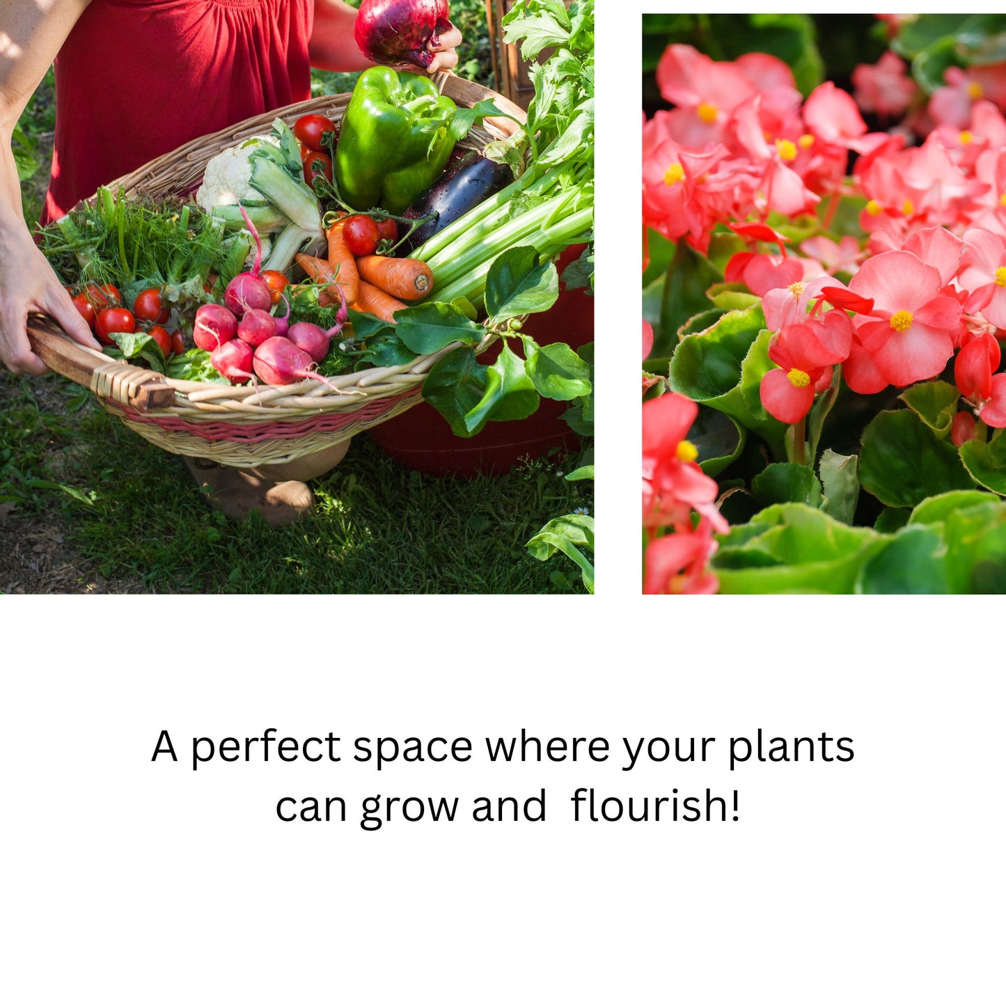 Grow healthy vegetables and flowers in strong, breathable square pots – perfect for thriving garden harvests