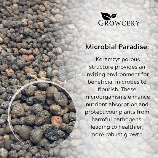 Infographic overlay showing “Microbial Paradise” on premium Keramzyt aggregate highlighting beneficial microbe habitat