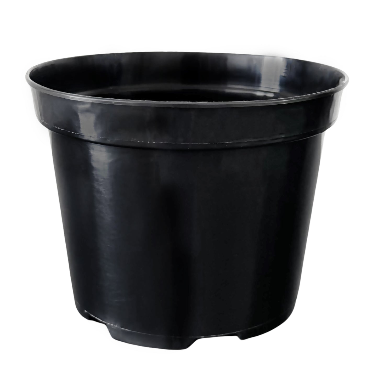 Black round plastic plant pot with rolled rim for easy handling