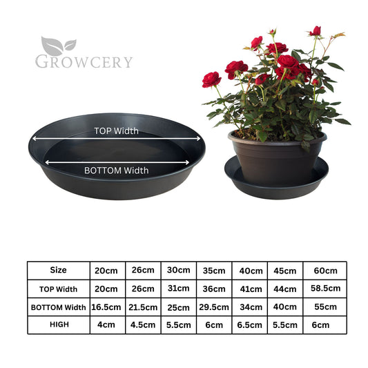 Size chart graphic showing top and bottom diameters for 20, 26, 30, 35, 40, and 45 cm saucers