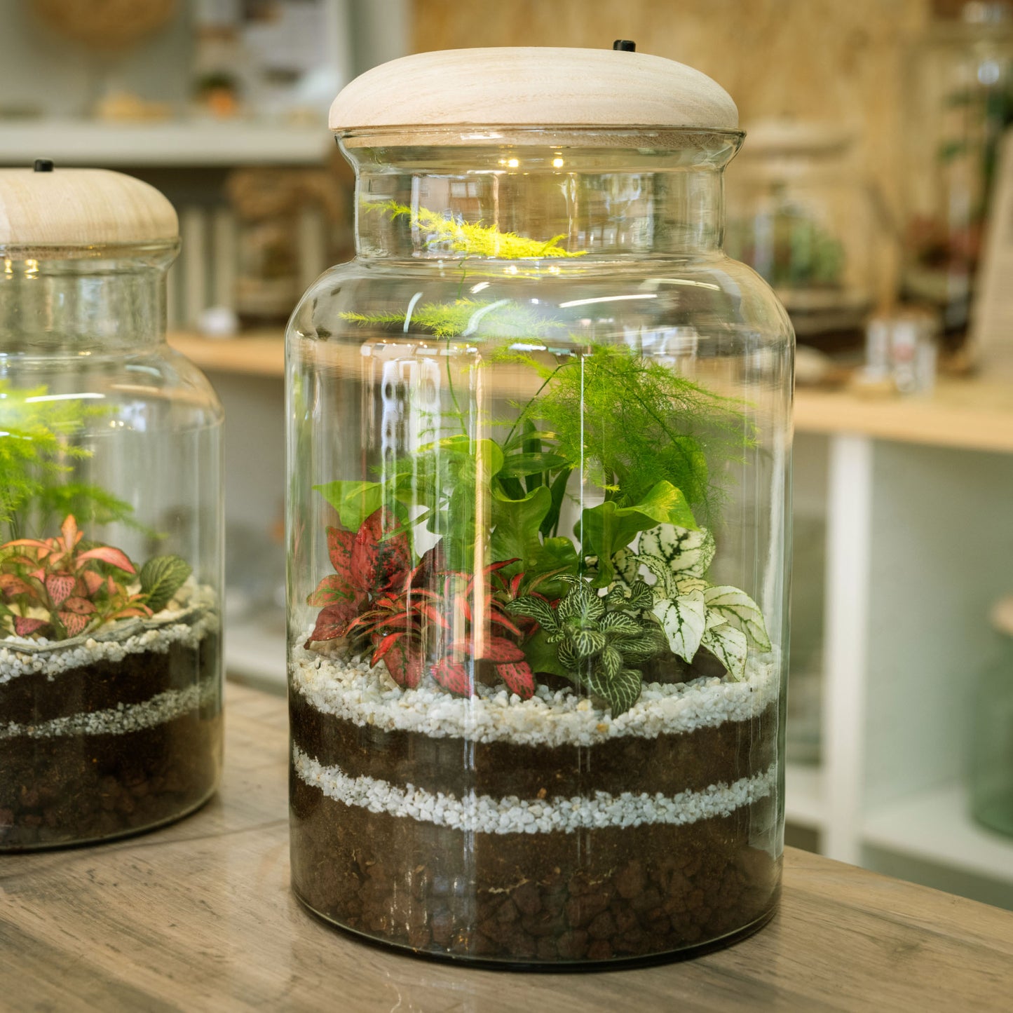 Glass terrarium layered with silica sand and soil for indoor plants