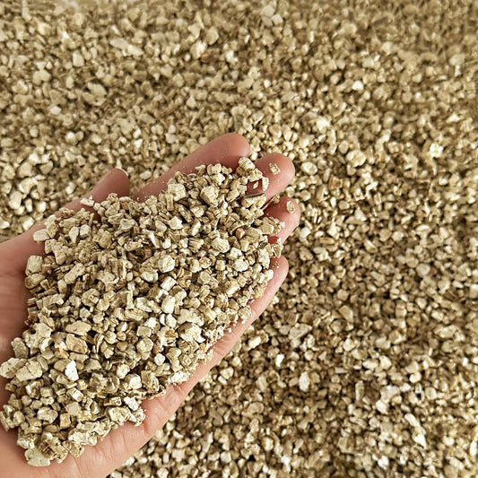 Close-up of vermiculite for plants held in hand, showcasing the texture and quality of the soil additive.