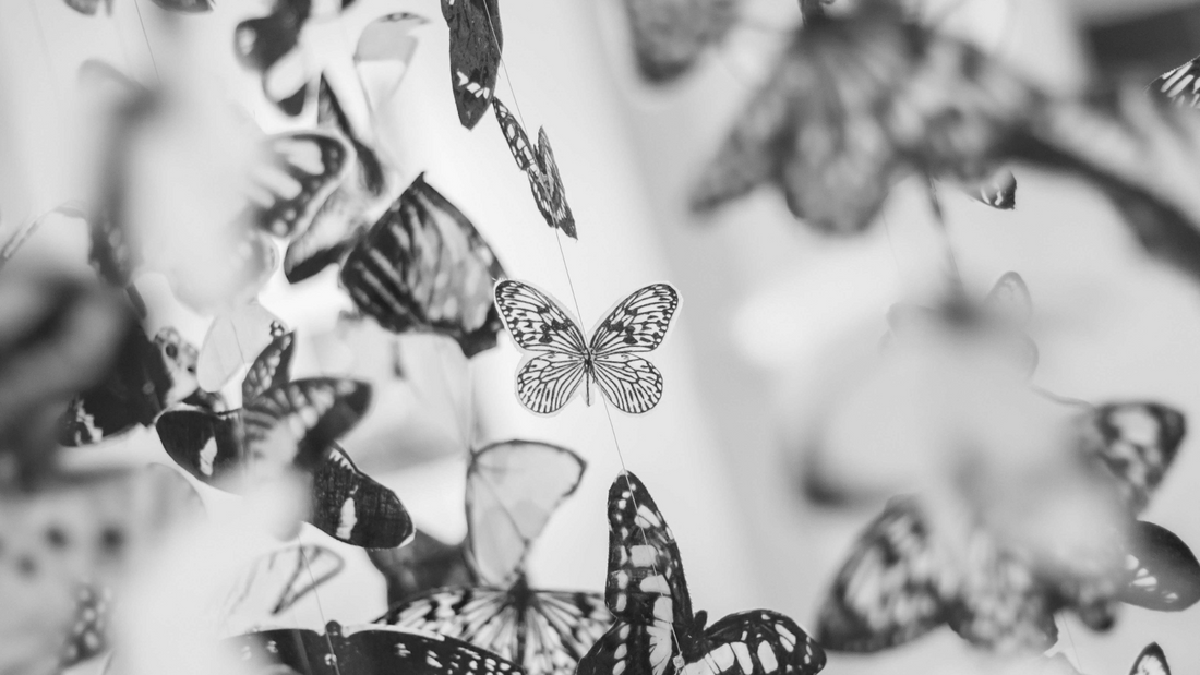 How to attract birds and butterflies with beautiful butterfly decorations in a garden setting.