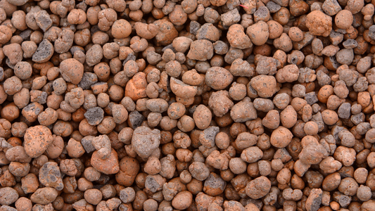 Clay Pebbles: The Secret to Thriving Plants