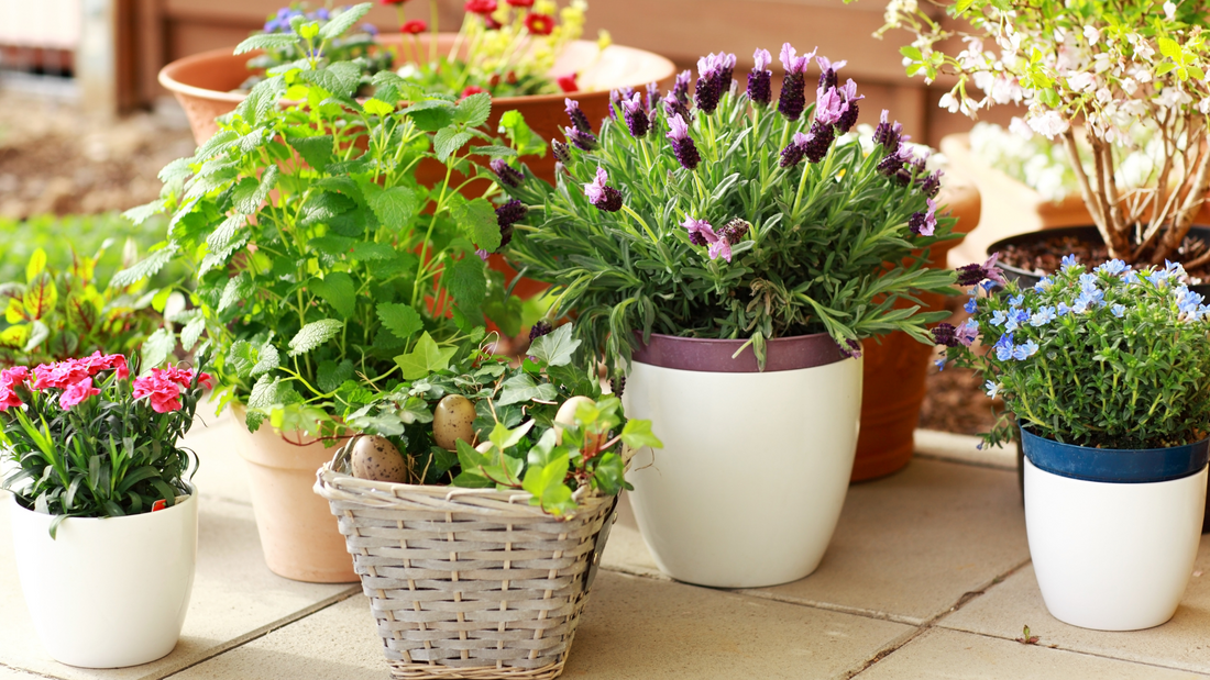 Fabric Pots vs Plastic Pots: A comparison of different plant pots with vibrant flowers in a garden setting.