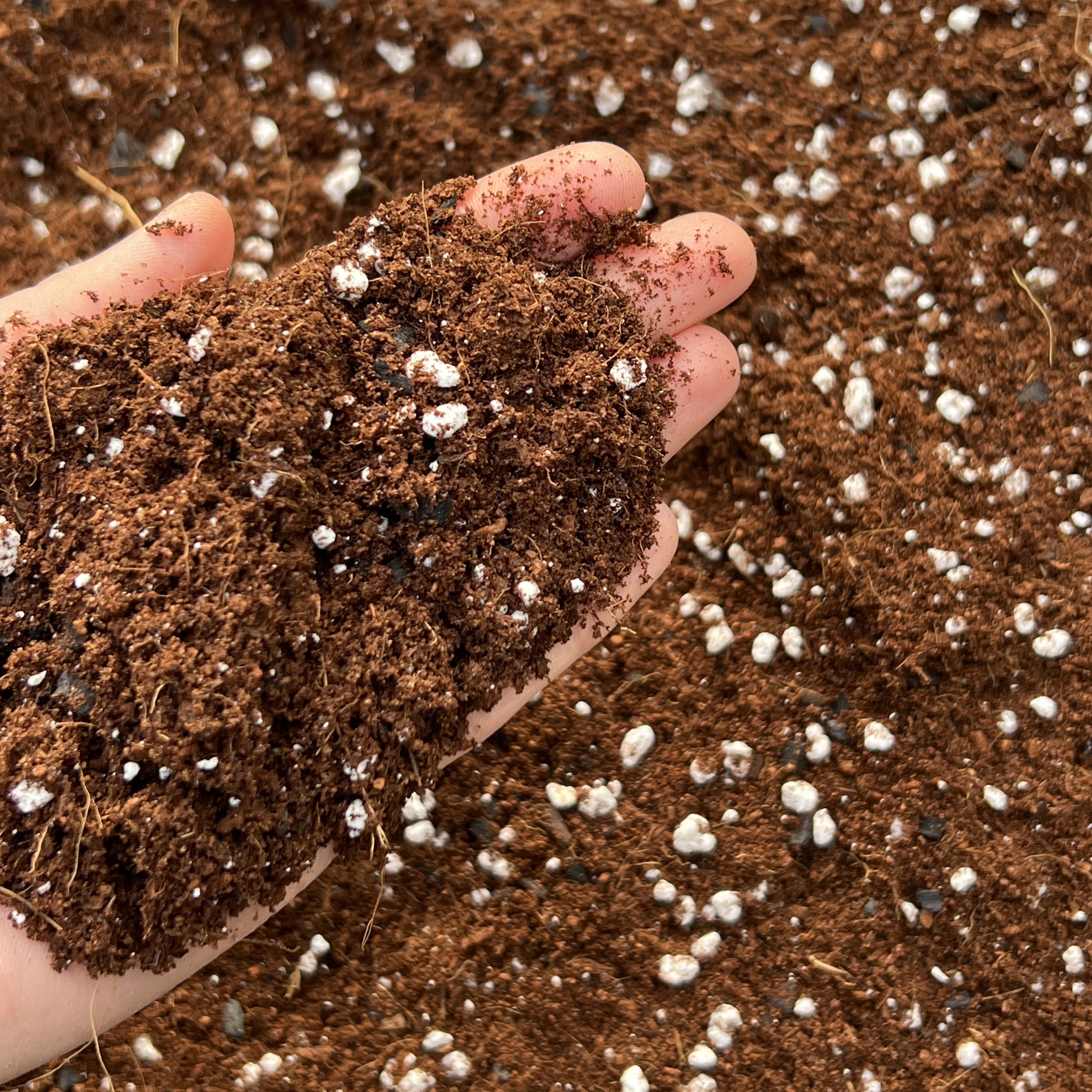 Finding the Perfect Growing Medium: Why Coco-Perlite Mix with Activate ...