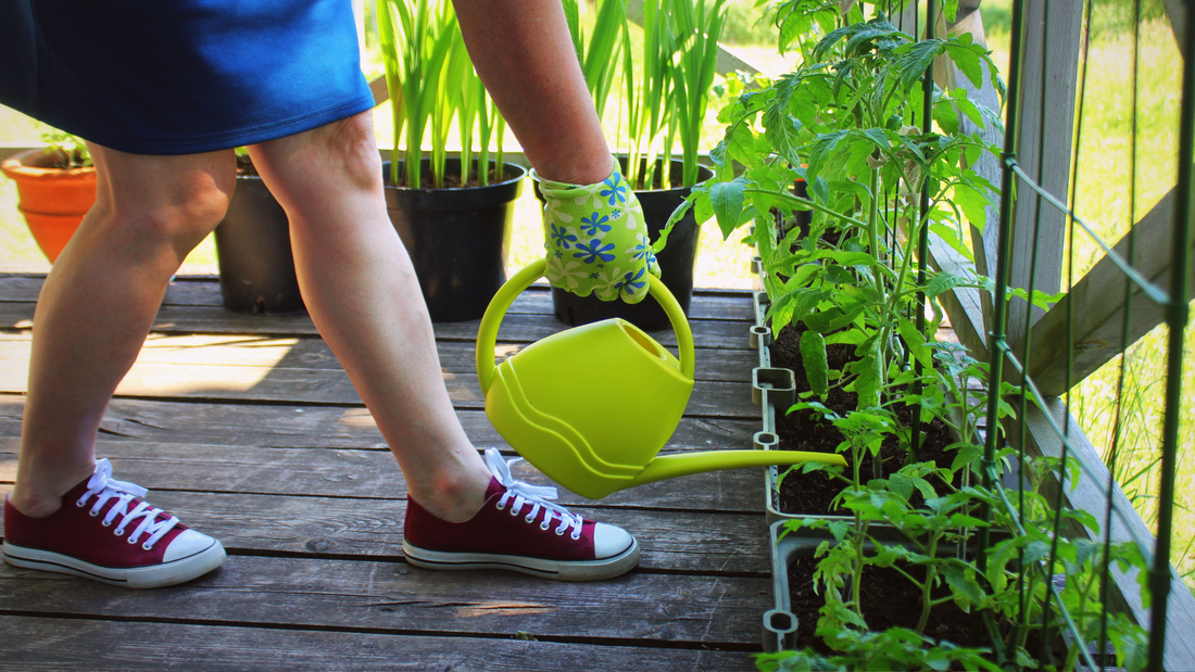 Watering plants in pots as part of container gardening ideas for small spaces.