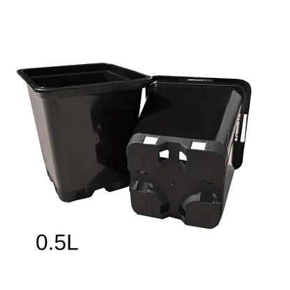 0.5L nursery starter square plastic pot – compact and durable container for seedlings or young plants