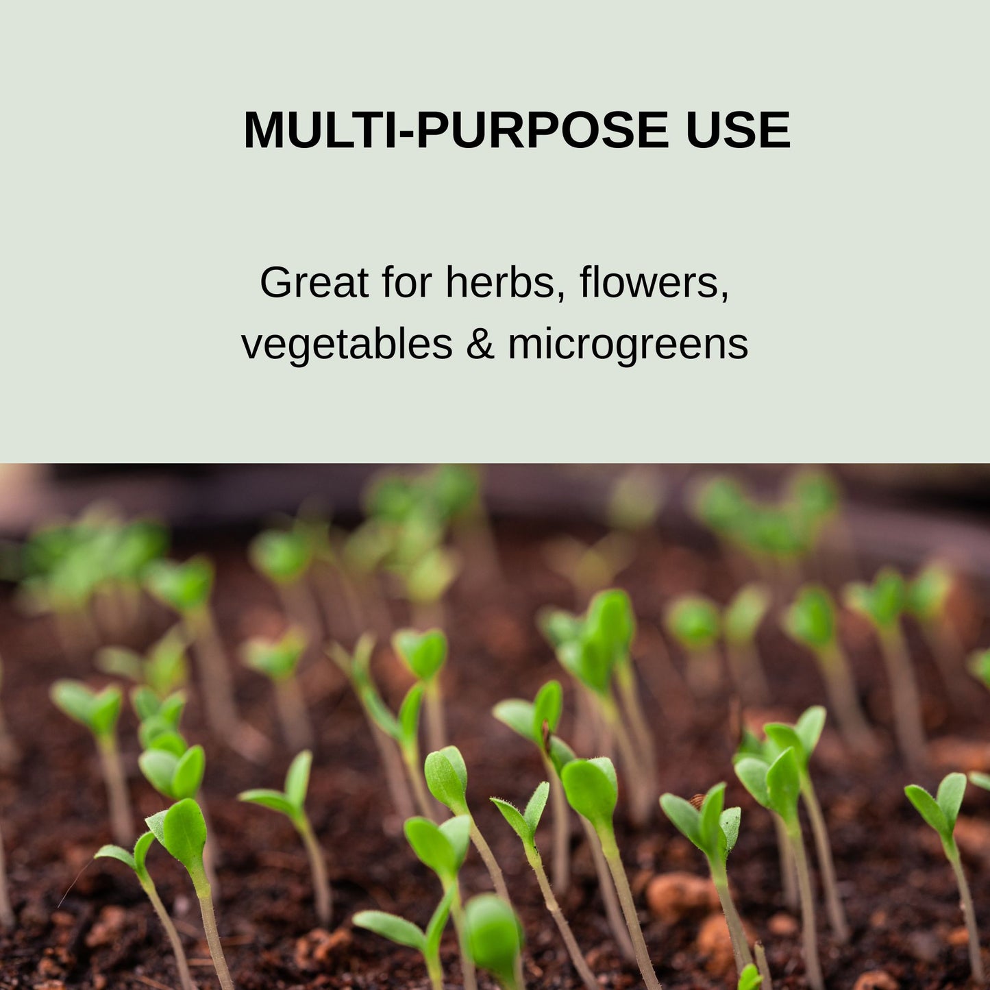 Garland Seed Trays (Small, Standard & XL)