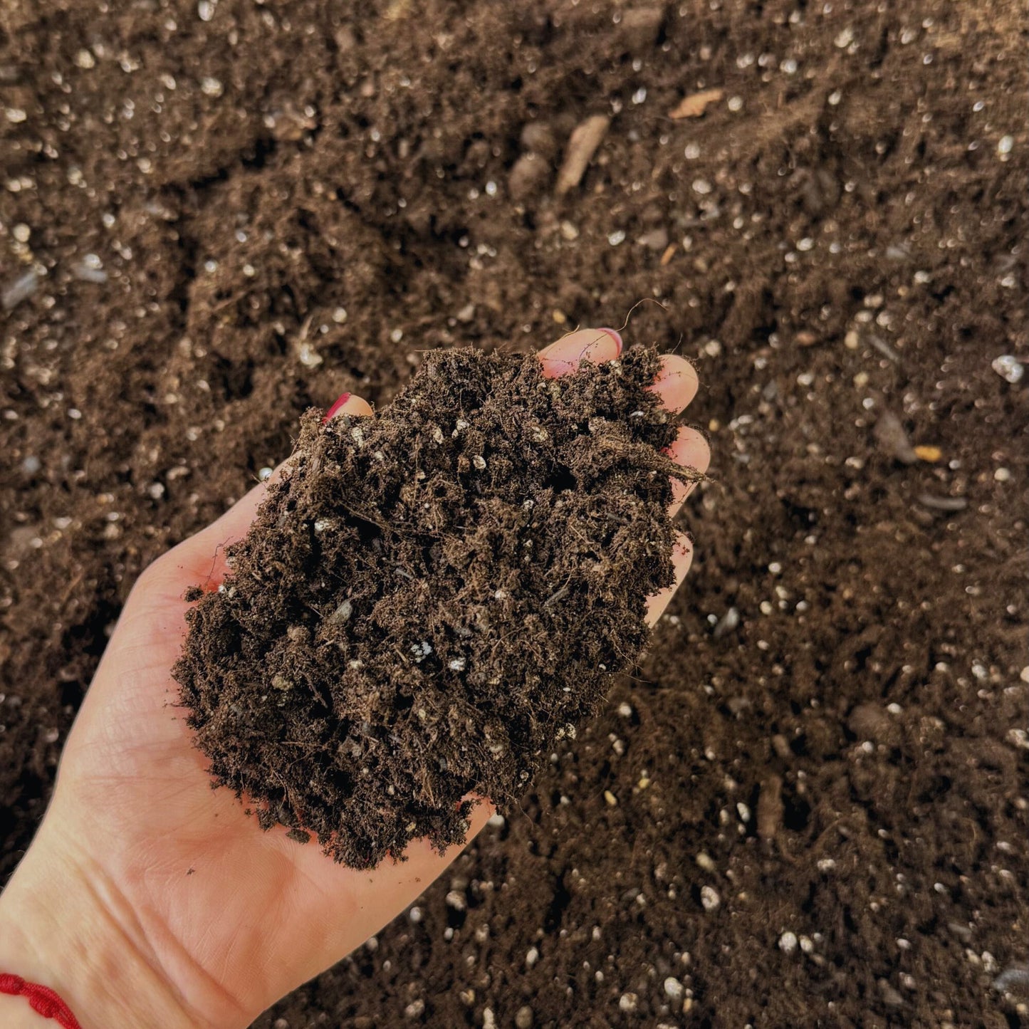 Terra Preta - Premium Living Soil Mix