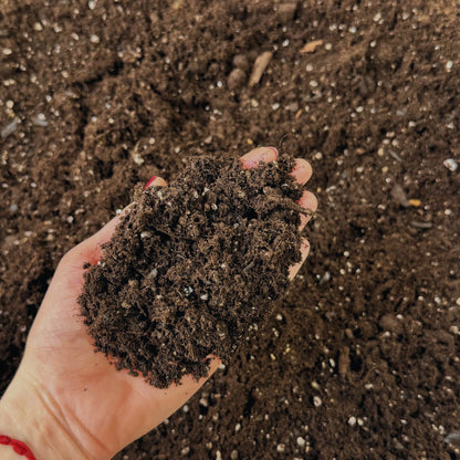 Terra Preta - Premium Living Soil Mix