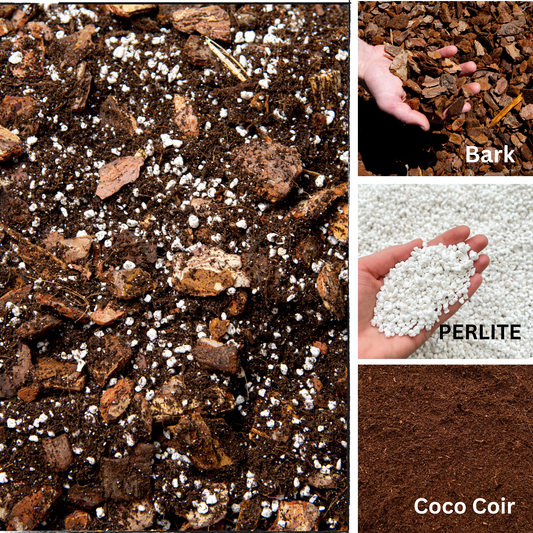 Premium Orchid Potting Mix with Biochar & Gentle Organic Feed