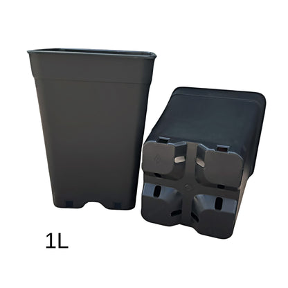 1L black plastic square pot – space-saving, tough container perfect for herbs, cuttings, and small plants