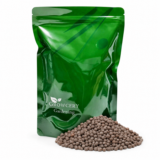 Growcery Rounded Fine Grade LECA Clay Pebbles 2–4mm