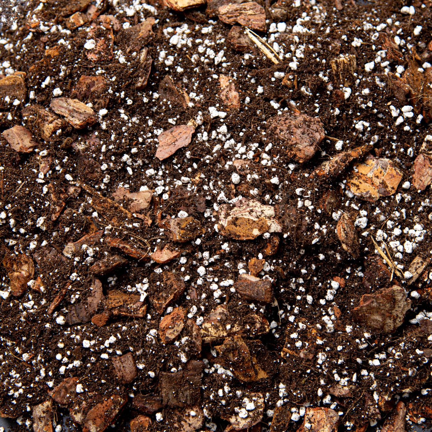 Premium Orchid Potting Mix with Biochar & Gentle Organic Feed