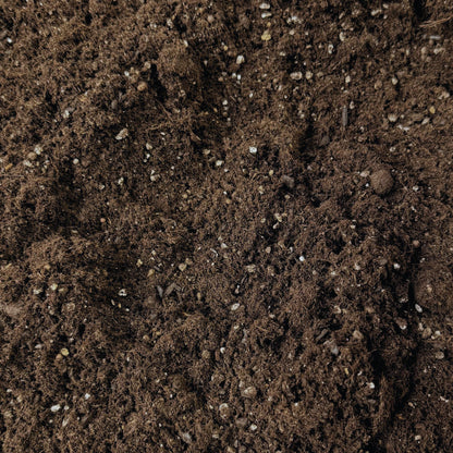 Terra Preta - Premium Living Soil Mix