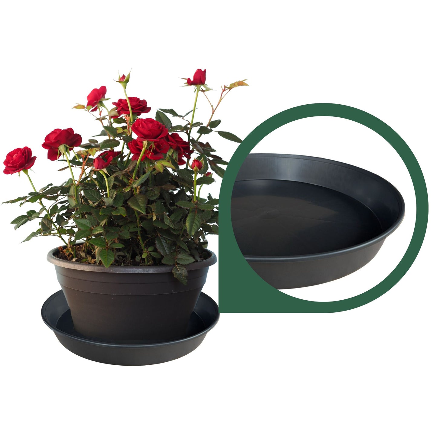 Growcery Plant Pot Saucers 30cm 35cm 40cm 45cm, plant trays for pots, drip tray, flower pot saucers, heavy duty plant pot trays, saucers only, watering trays for plants