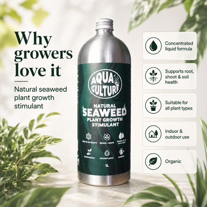 Aqua Culture Natural Seaweed Plant Growth Stimulant
