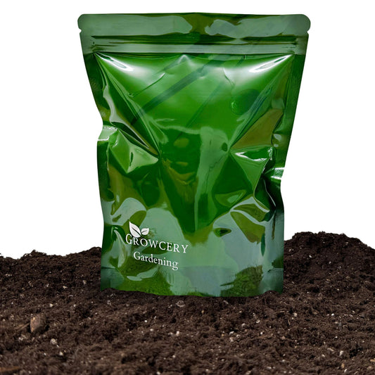 Terra Preta - Premium Living Soil Mix