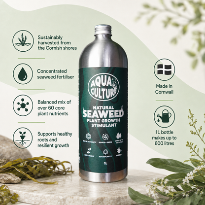 Aqua Culture Natural Seaweed Plant Growth Stimulant