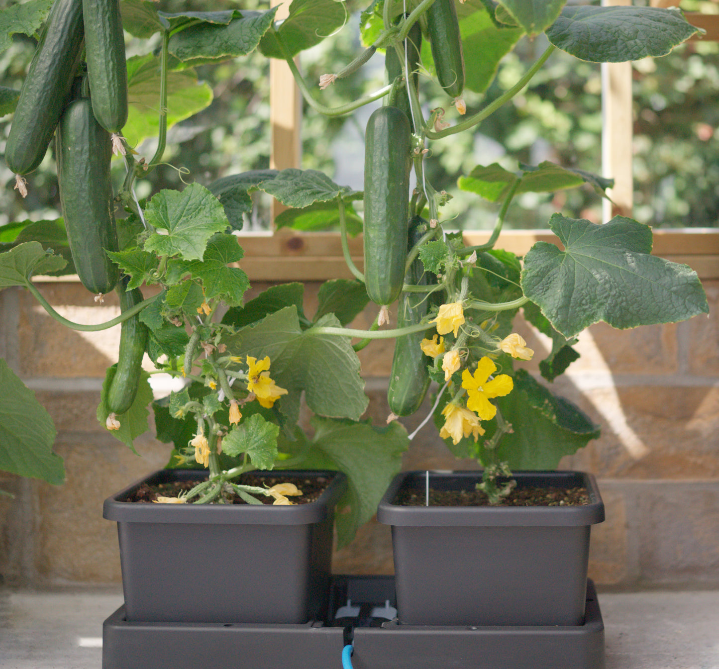AutoPot easy2grow Module – 2 Pot Extension Kit
