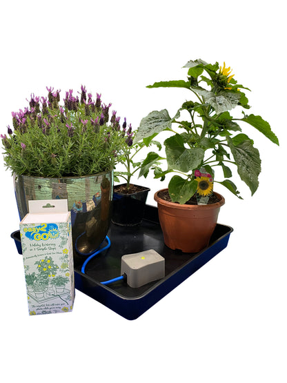AutoPot easy2GO Kit – Automatic Holiday Watering Kit