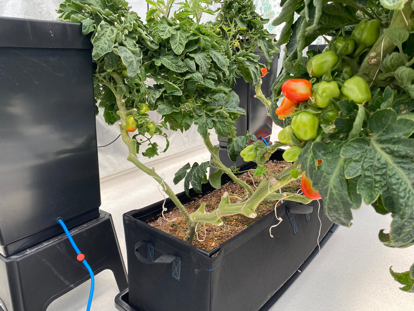 AutoPot easy2Propagate Basic Kit