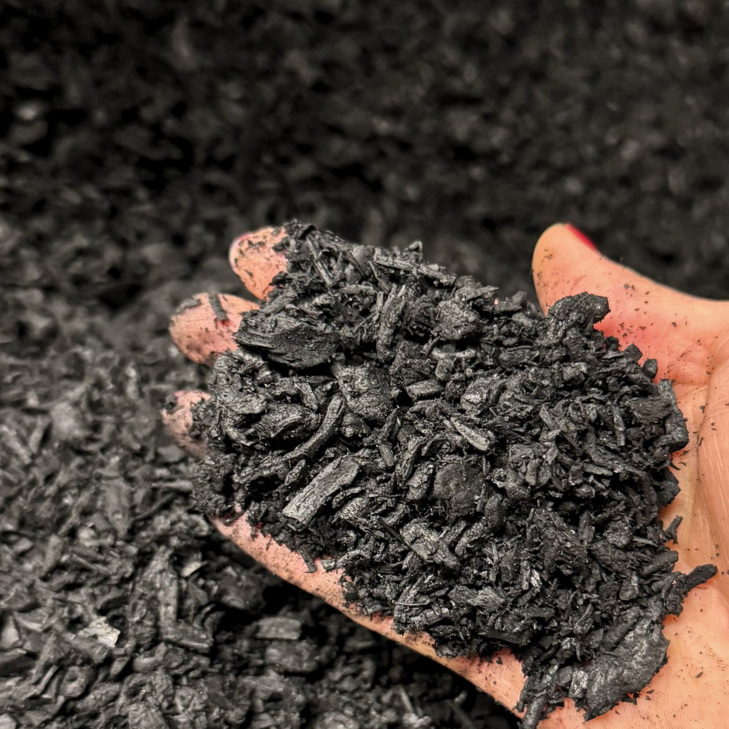 Hand holding a handful of activated biochar pieces over a background of loose biochar.