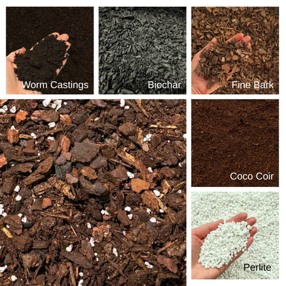 Premium Orchid Potting Mix with Biochar & Gentle Organic Feed